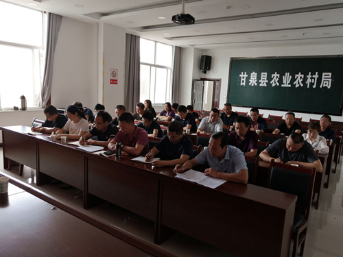 图片3_副本.png